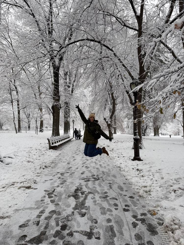Central Park nevado