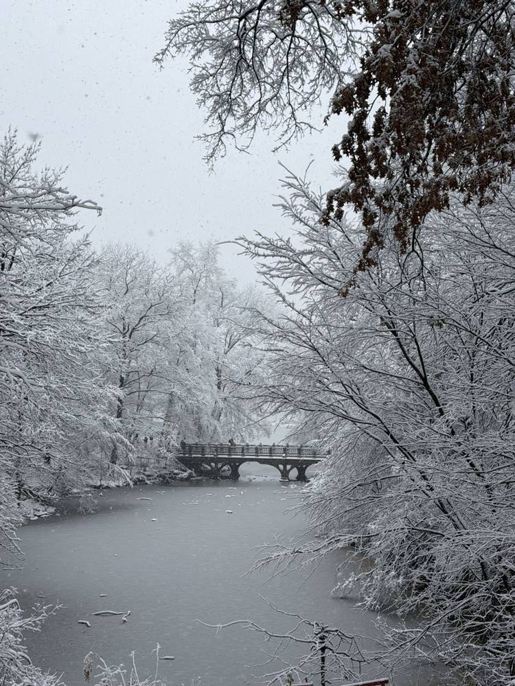 Central Park nevado