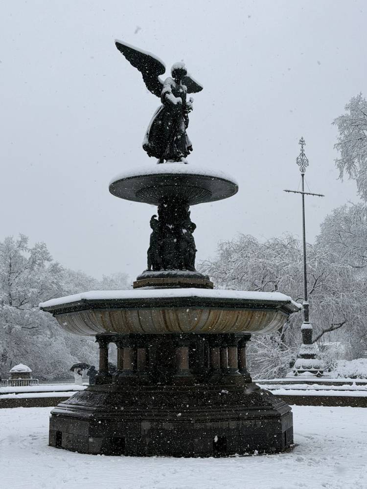 Central Park nevado